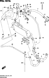 Radiator Hose