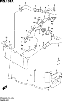 Radiator Hose