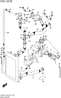 Radiator Hose