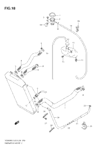 Radiator Hose