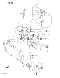 Radiator Hose