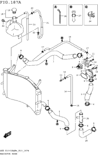 Radiator Hose