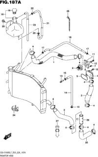 Radiator Hose
