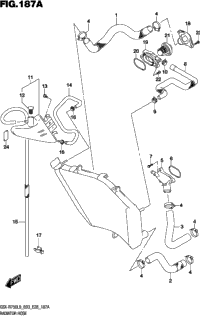 Radiator Hose
