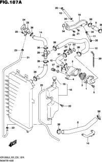 Radiator Hose
