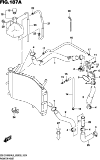 Radiator Hose