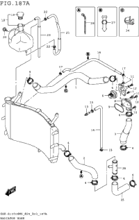 Radiator Hose