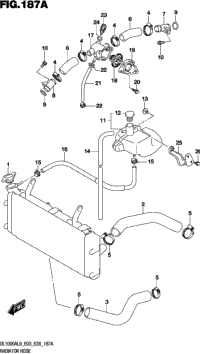 Radiator Hose