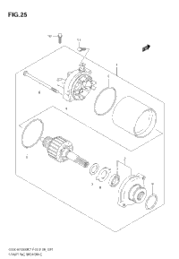 Starting Motor