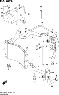 Radiator Hose