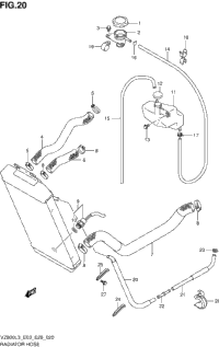 Radiator Hose