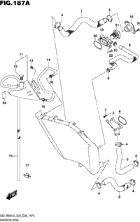 Radiator Hose