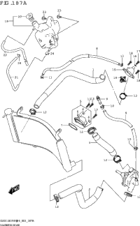 Radiator Hose