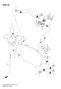 Radiator Hose