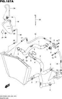 Radiator Hose