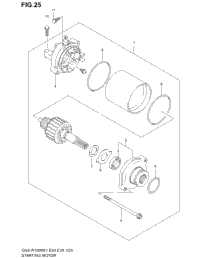 Starting Motor
