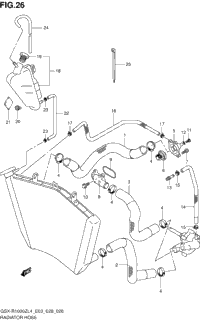 Radiator Hose