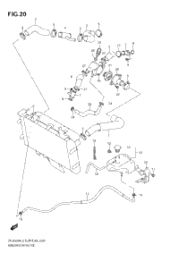 Radiator Hose