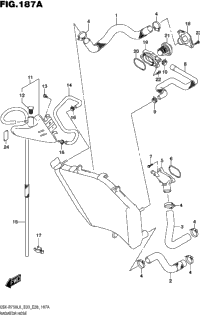 Radiator Hose