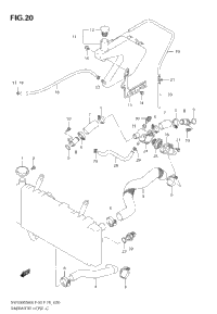 Radiator Hose