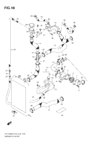 Radiator Hose