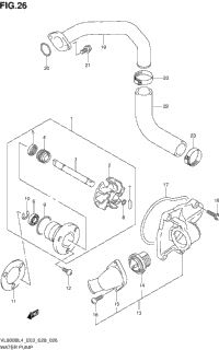 Water Pump