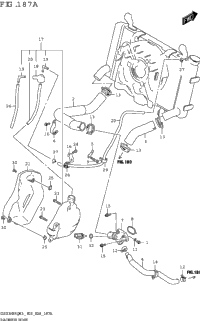 Radiator Hose
