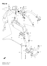 Radiator Hose