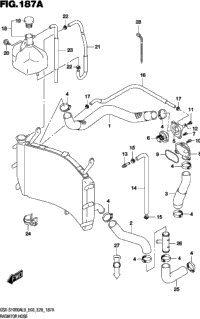 Radiator Hose