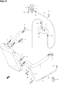 Radiator Hose