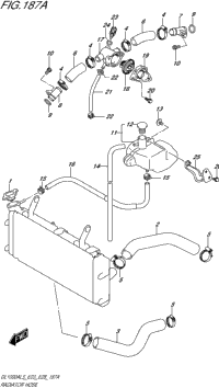 Radiator Hose