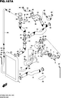 Radiator Hose
