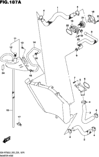 Radiator Hose