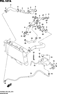 Radiator Hose