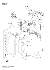 Radiator Hose