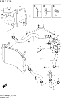 Radiator Hose