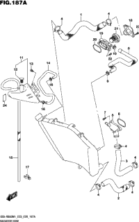 Radiator Hose