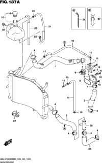 Radiator Hose