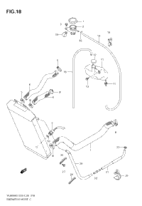 Radiator Hose