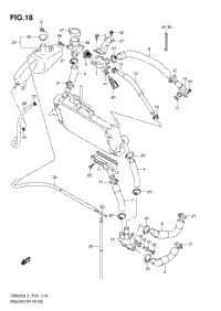 Radiator Hose