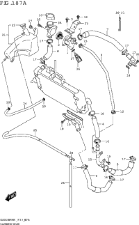 Radiator Hose