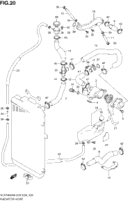 Radiator Hose