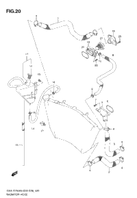 Radiator Hose