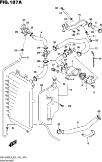 Radiator Hose