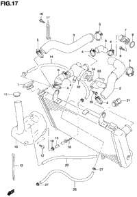 Radiator Hose