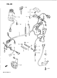 Wiring Harness
