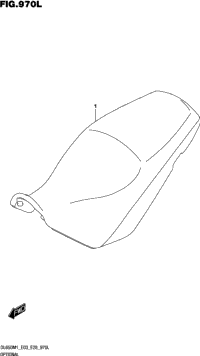 Optional (See Note 1) 970L