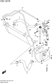 Radiator Hose