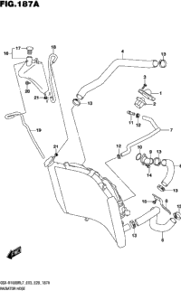 Radiator Hose