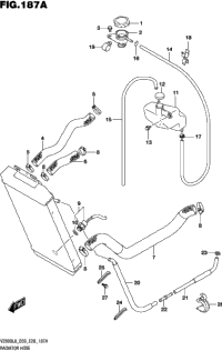 Radiator Hose